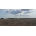 emsallerin altında deniz manzaralı 300 m2 arsa emsallerin altında deniz manzaralı 300 m2 arsa