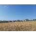 Bu fiyata_üstelik_Deniz manzaralı 320 m2 müstakil imarlı arsa Bu fiyata_üstelik_Deniz manzaralı 320 m2 müstakil imarlı arsa