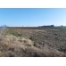 iMARA YAKIN__5440 m2 tarla iMARA YAKIN__5440 m2 tarla