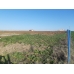 iMARA YAKIN__5440 m2 tarla iMARA YAKIN__5440 m2 tarla