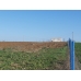 iMARA YAKIN__5440 m2 tarla iMARA YAKIN__5440 m2 tarla