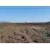 iMARA YAKIN__5440 m2 tarla iMARA YAKIN__5440 m2 tarla