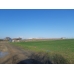 iMARA YAKIN__5440 m2 tarla iMARA YAKIN__5440 m2 tarla