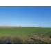 iMARA YAKIN__5440 m2 tarla iMARA YAKIN__5440 m2 tarla