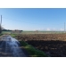 iMARA YAKIN__5440 m2 tarla iMARA YAKIN__5440 m2 tarla